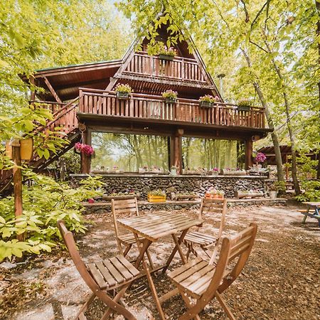 Matilde'S Chalet Etna Nature House 니콜로시 외부 사진