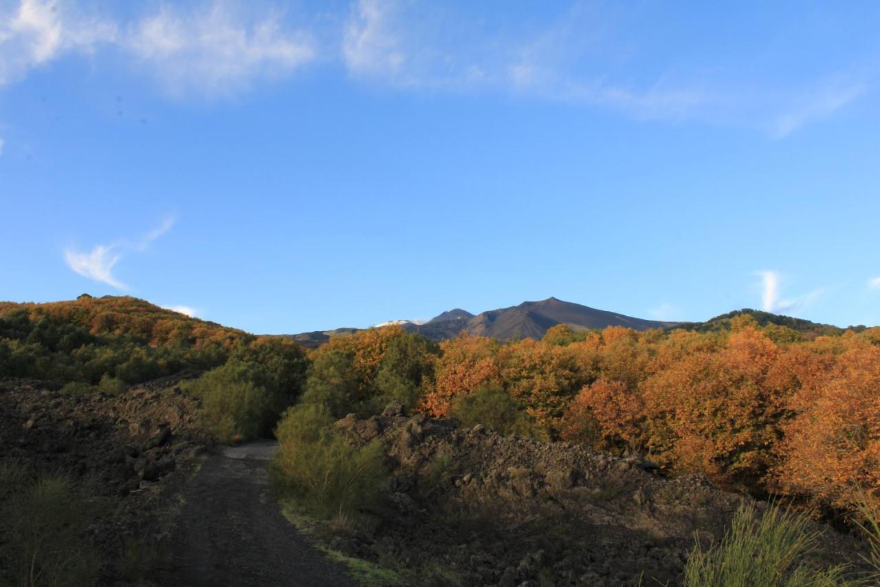 Matilde'S Chalet Etna Nature House 니콜로시 외부 사진