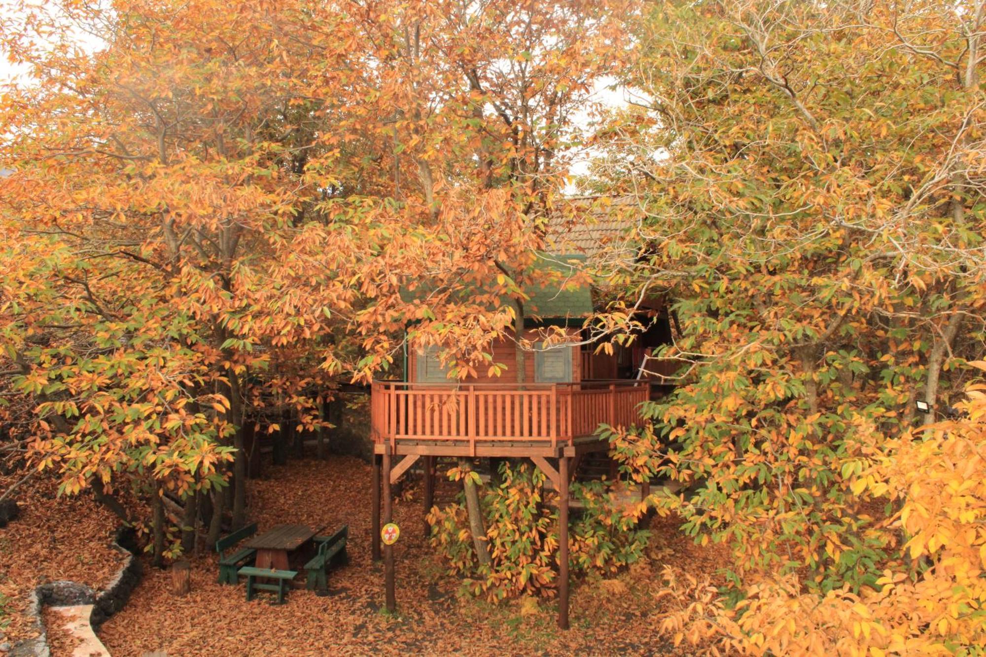Matilde'S Chalet Etna Nature House 니콜로시 외부 사진