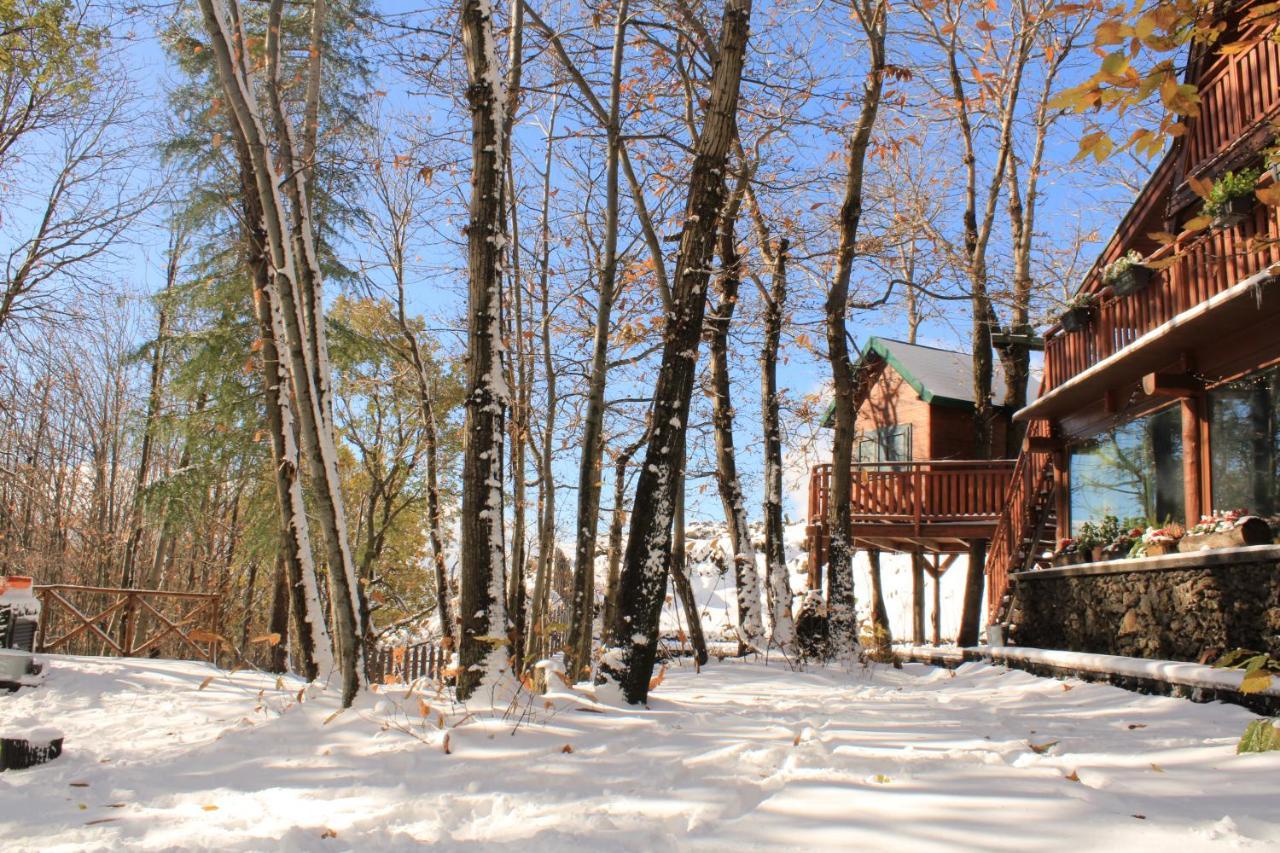 Matilde'S Chalet Etna Nature House 니콜로시 외부 사진