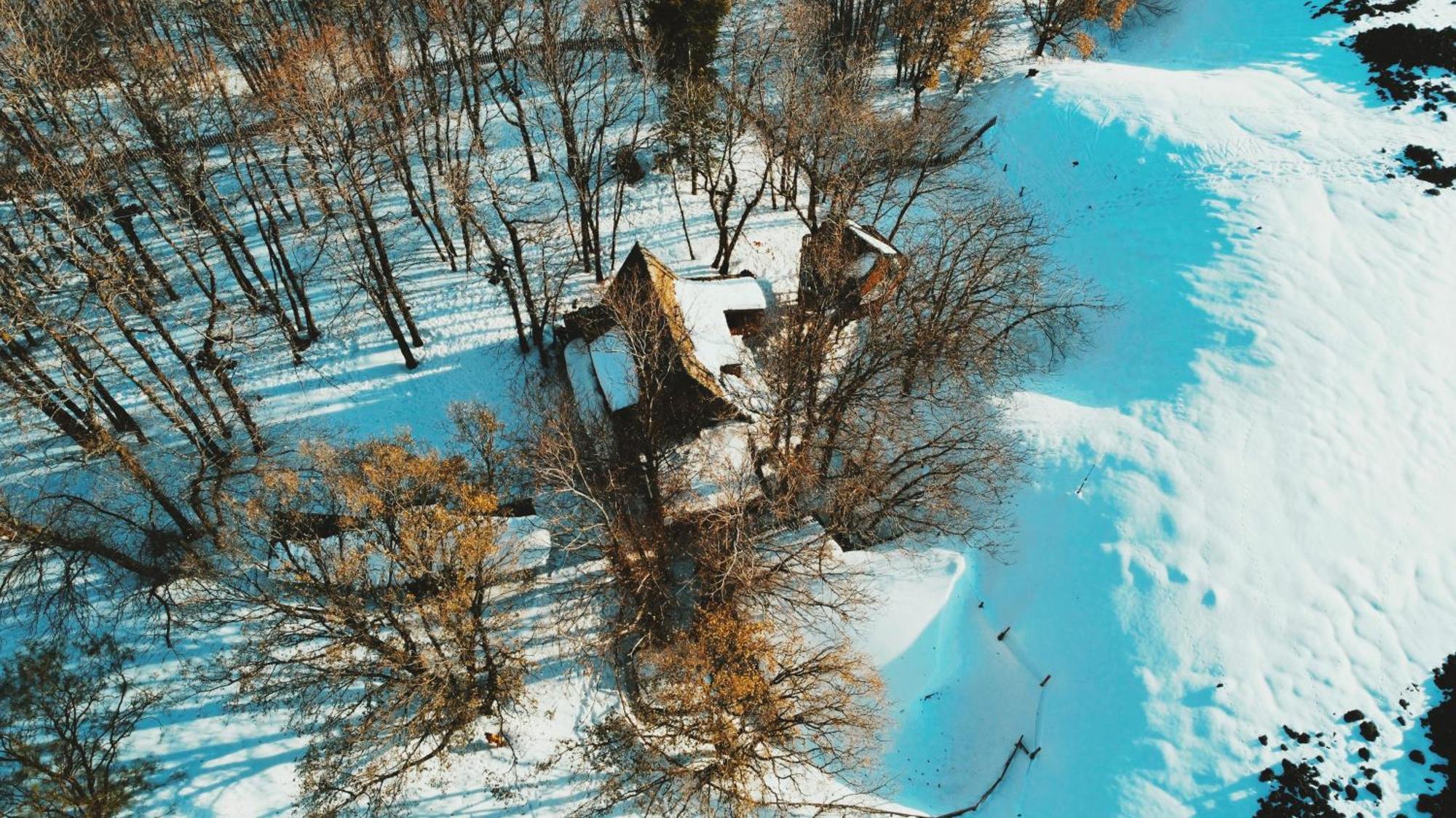 Matilde'S Chalet Etna Nature House 니콜로시 외부 사진