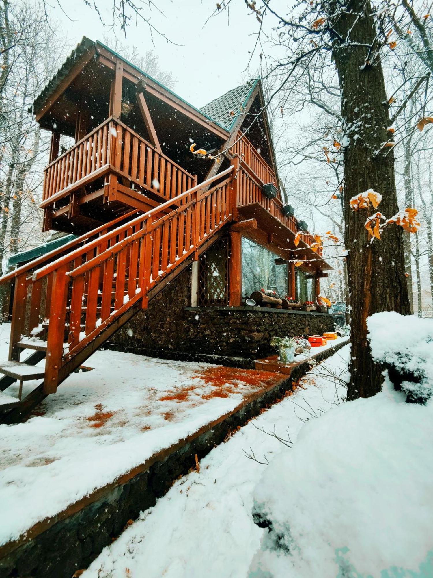 Matilde'S Chalet Etna Nature House 니콜로시 외부 사진